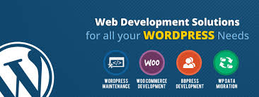 wordpress developers india.jpeg
